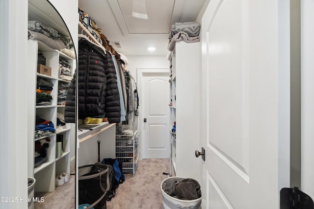 333 N Island Xing, Edenton, NC 27932 - walk in closet with attic access, visible vents, and carpet