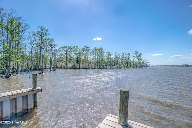 333 N Island Xing, Edenton, NC 27932 - view of dock featuring a water view