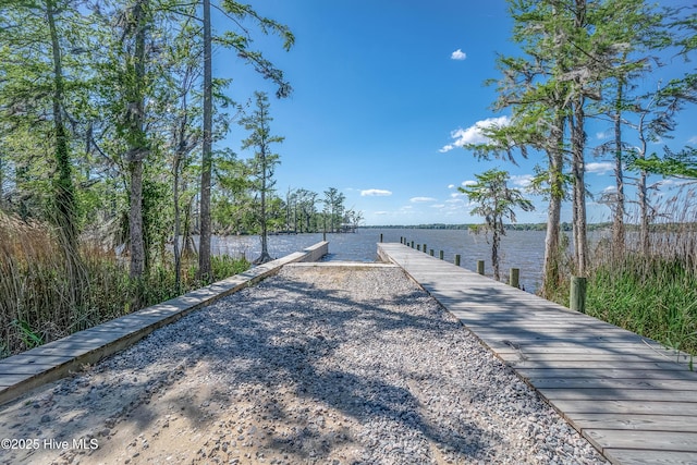 333 N Island Xing, Edenton, NC 27932 - surrounding community with a water view and a dock
