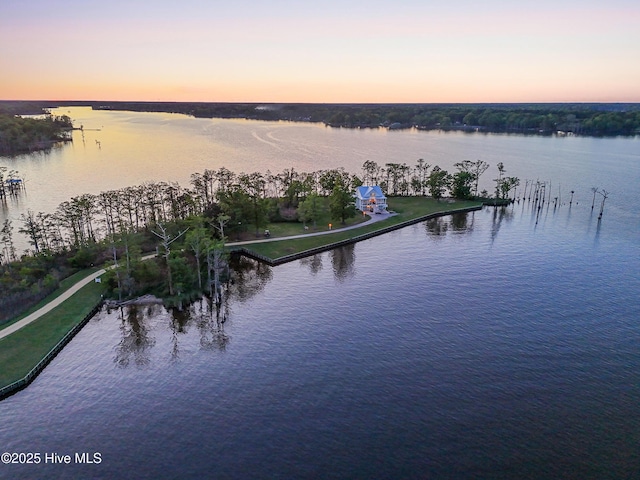 333 N Island Xing, Edenton, NC 27932 - view of water feature