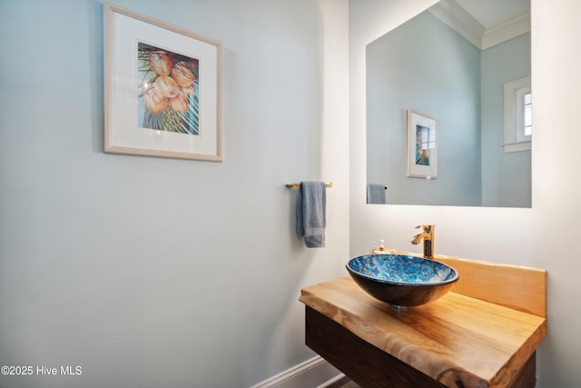 333 N Island Xing, Edenton, NC 27932 - bathroom with baseboards, crown molding, and vanity