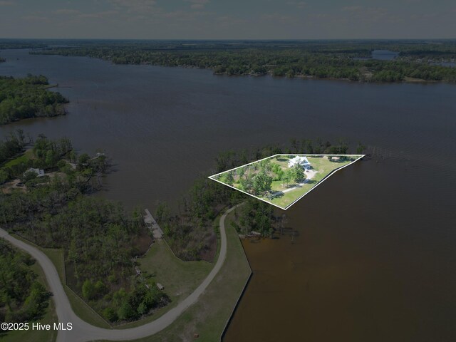 333 N Island Xing, Edenton, NC 27932 - birds eye view of property with a wooded view and a water view