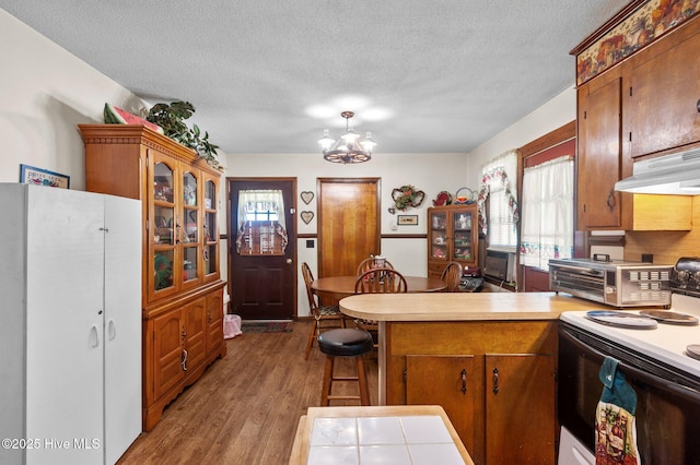 kitchen with a peninsula, a healthy amount of sunlight, under cabinet range hood, light countertops, and white range with electric stovetop