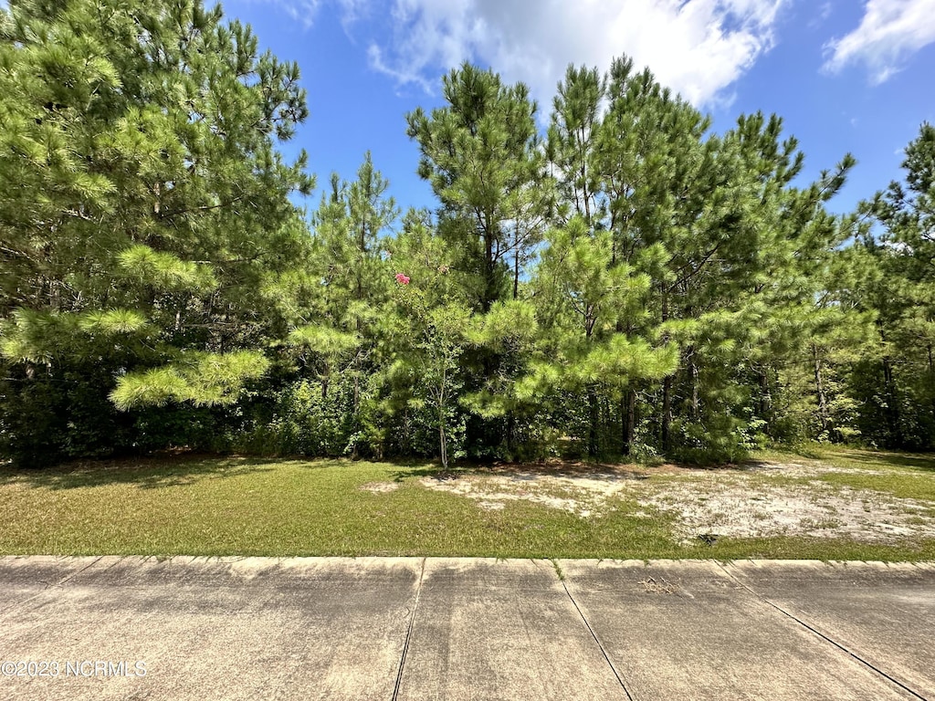 71 Danas Way Lot # 5, Columbia, NC 27925