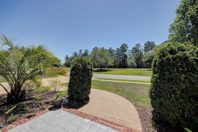 view of community featuring a lawn