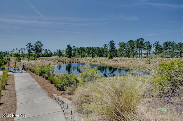 view of water feature