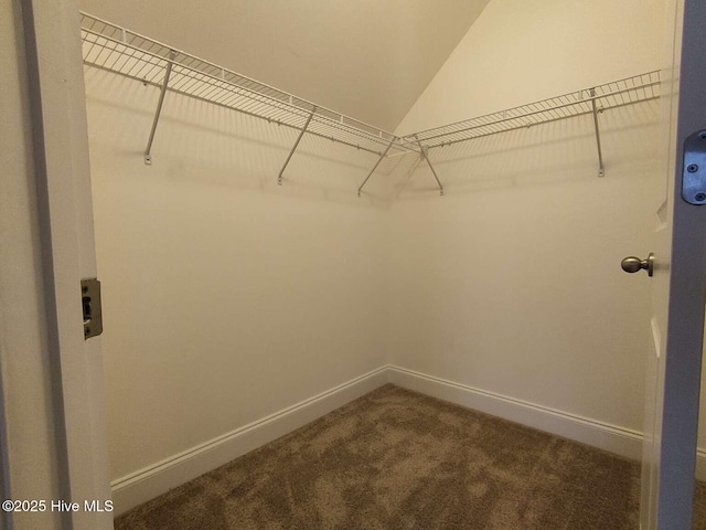 112 Schever Rd, West End, NC 27376 - spacious closet with dark colored carpet and vaulted ceiling