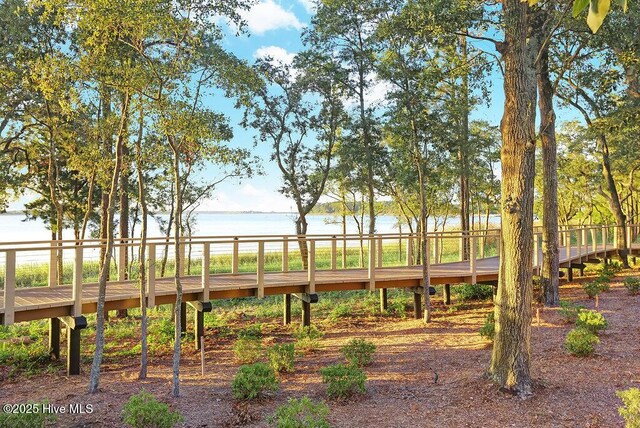 view of property's community with a water view