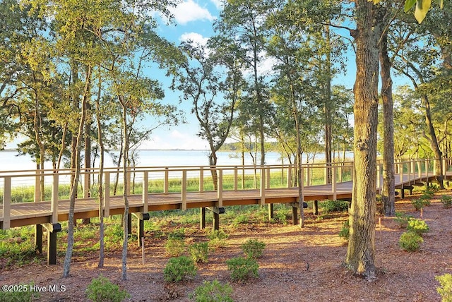 4751 Waves Pointe Pointe, Wilmington, NC 28412 - view of property's community with a water view