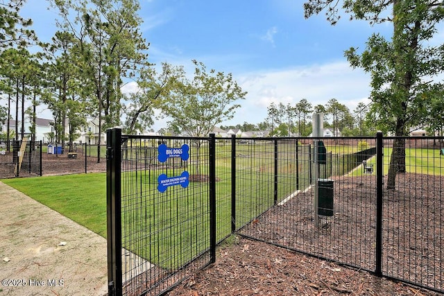 view of property's community with a dog friendly area