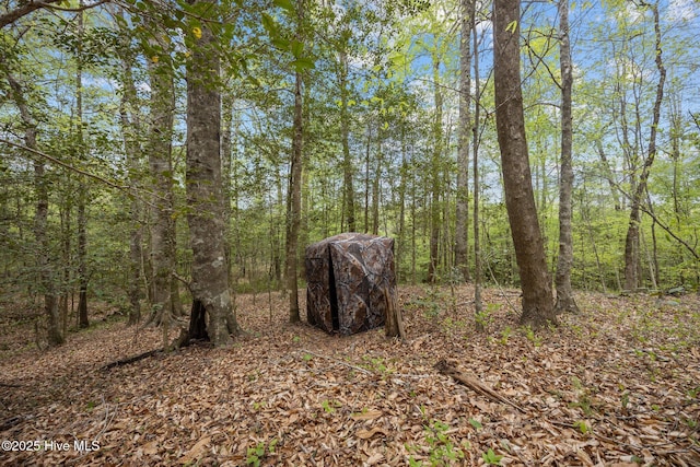 view of nature with a wooded view