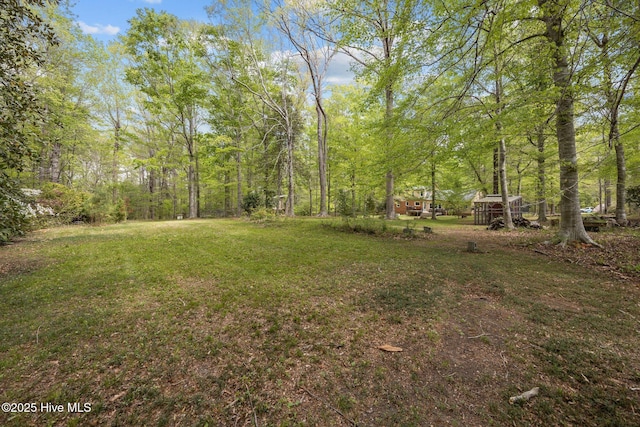 view of yard