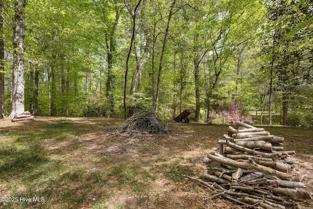 view of yard with a forest view