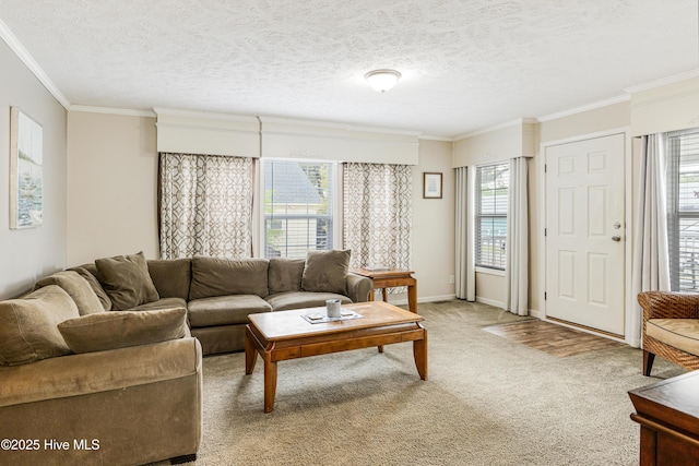 living area with light colored carpet, crown molding, and a textured ceiling