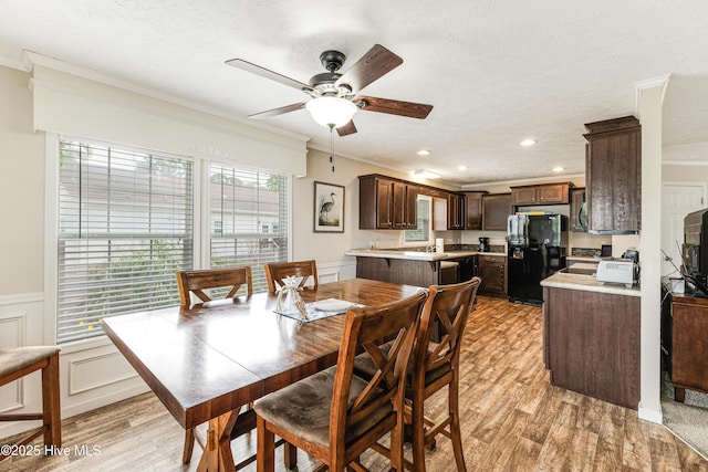 dining space featuring a wainscoted wall, ornamental molding, a ceiling fan, and light wood-style flooring