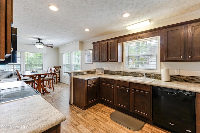kitchen featuring light countertops, dark brown cabinetry, light wood finished floors, black dishwasher, and a peninsula