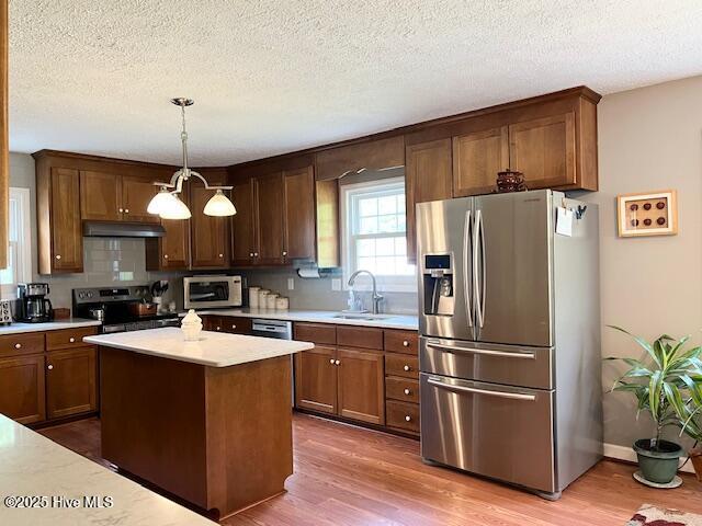 kitchen with under cabinet range hood, stainless steel appliances, a sink, and wood finished floors
