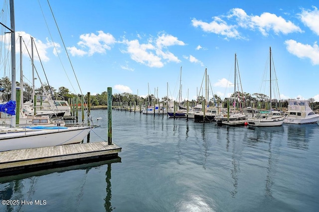 dock area featuring a water view