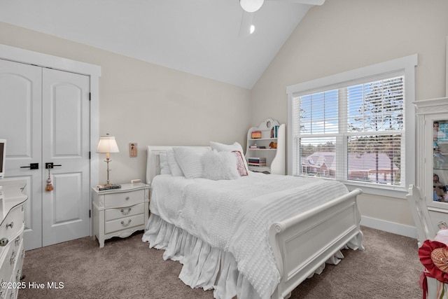 100 Holly Springs Ct, Southern Pines, NC 28387 - bedroom with high vaulted ceiling, carpet floors, and a closet