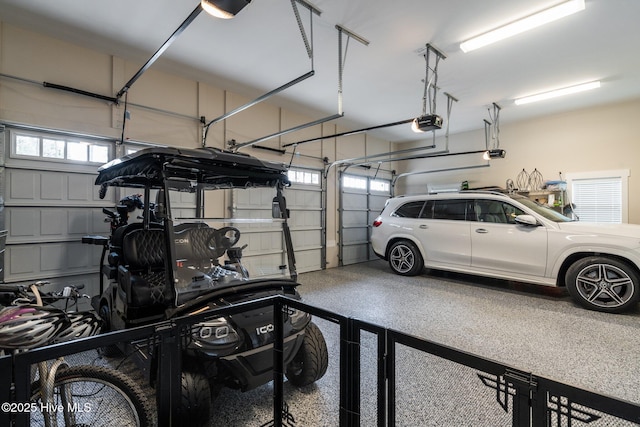 100 Holly Springs Ct, Southern Pines, NC 28387 - garage featuring a garage door opener