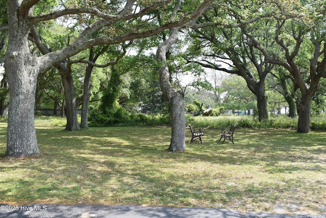 LOT4 Stone Ballast Way Unit 4, Ocean Isle Beach, NC 28469