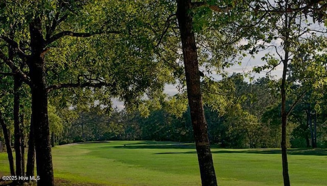 197 Cherry Rd, Southport, NC 28461 - surrounding community with a yard