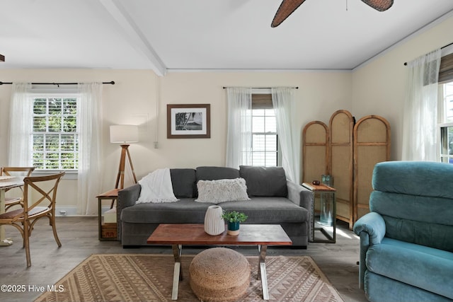 living area featuring wood finished floors, plenty of natural light, a ceiling fan, and baseboards