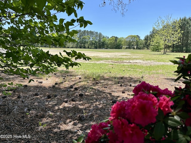 119 Emperor Landing Rd, Edenton, NC 27932 - view of yard featuring a wooded view