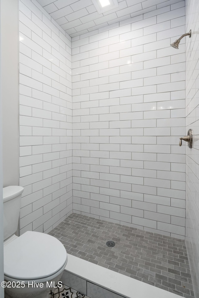 bathroom featuring a shower stall and toilet