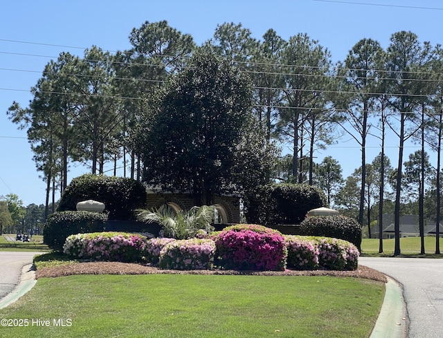 7473 Balmore Dr SW, Sunset Beach, NC 28468 - community sign with a yard