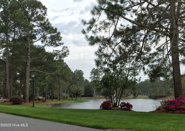 7473 Balmore Dr SW, Sunset Beach, NC 28468 - view of community with a water view and a yard