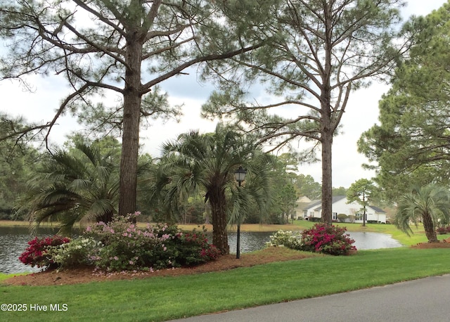 7473 Balmore Dr SW, Sunset Beach, NC 28468 - surrounding community with a water view and a lawn