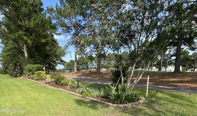 7473 Balmore Dr SW, Sunset Beach, NC 28468 - view of grassy yard