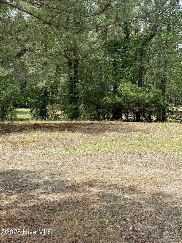 243 W Winding Way Unit 925, Wallace, NC 28466