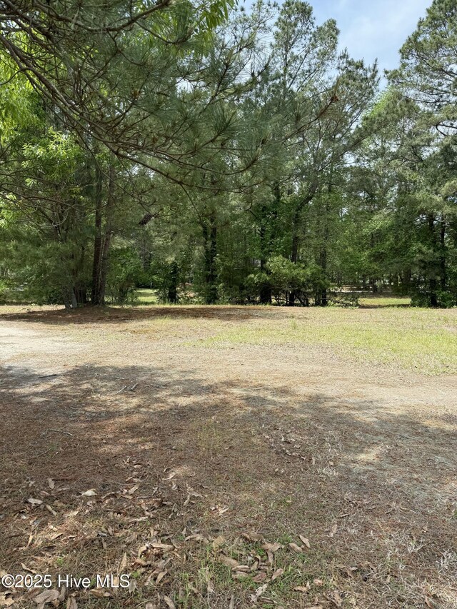 243 W Winding Way Unit 925, Wallace, NC 28466