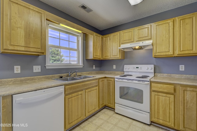 kitchen featuring a sink, white appliances, light countertops, under cabinet range hood, and visible vents