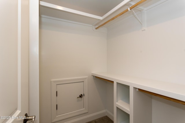 117 Banbridge Dr, West End, NC 27376 - view of spacious closet