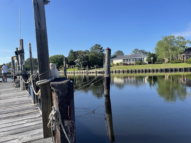 dock area with a water view