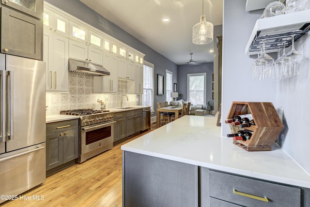 kitchen featuring high quality appliances, under cabinet range hood, a sink, light wood-style flooring, and decorative backsplash
