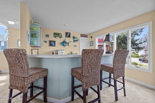 105 Island Quay Ct, Atlantic Beach, NC 28512 - bar featuring light colored carpet, a textured ceiling, and baseboards