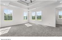 carpeted spare room featuring a healthy amount of sunlight and coffered ceiling