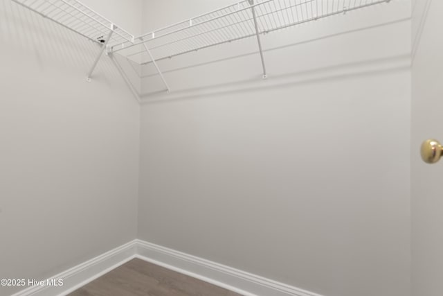 315 Whirlaway Blvd, Sneads Ferry, NC 28460 - walk in closet with dark wood-style flooring