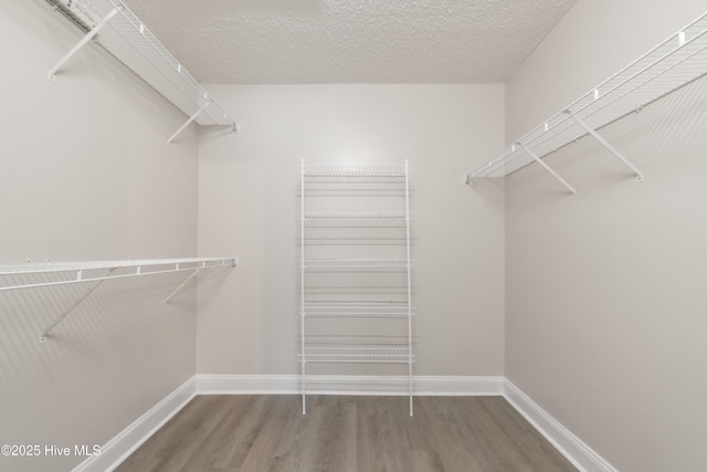315 Whirlaway Blvd, Sneads Ferry, NC 28460 - walk in closet with wood finished floors