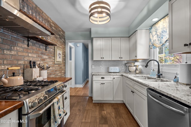 kitchen featuring dark wood-type flooring, a sink, backsplash, exhaust hood, and stainless steel appliances