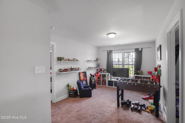 rec room with carpet