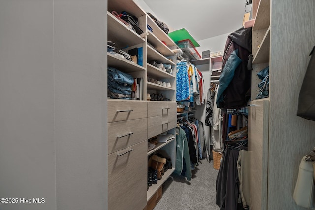 2312 Caracara Dr, New Bern, NC 28560 - spacious closet with carpet