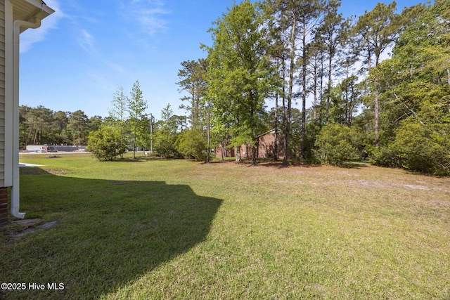 2312 Caracara Dr, New Bern, NC 28560 - view of green lawn