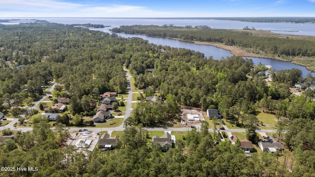 2312 Caracara Dr, New Bern, NC 28560 - view of property location with a heavily wooded area and a large body of water