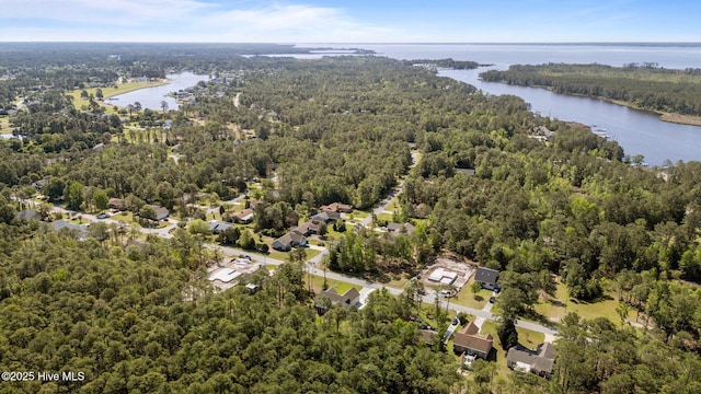 bird's eye view featuring a water view and a forest view