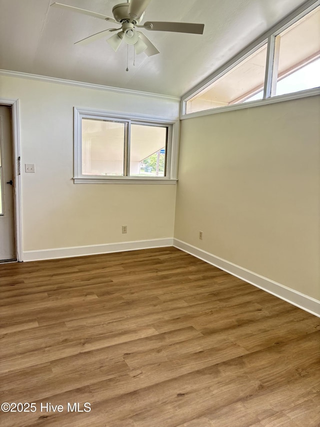 115 Cherry St, Woodland, NC 27897 - spare room with baseboards, wood finished floors, a ceiling fan, and crown molding